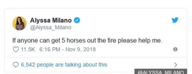 கலிஃபோர்னியா