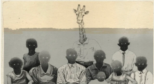 Кир абадан жабыркагандар