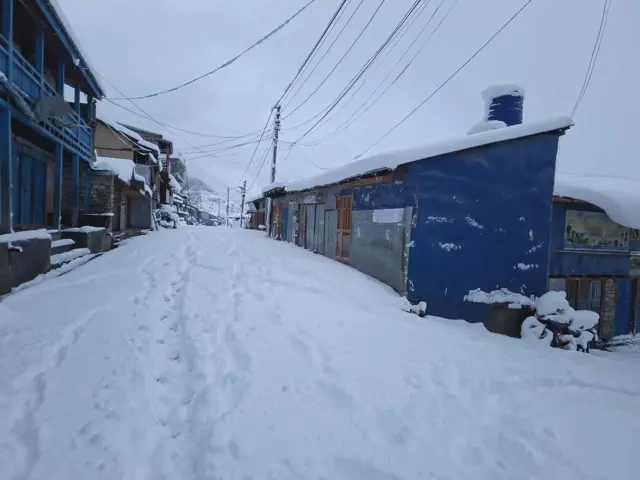 हुम्लामा मङ्गलवार रातिबाट हिमपात हुँदा कतिपय ठाउँ सेताम्मे भएका छन्