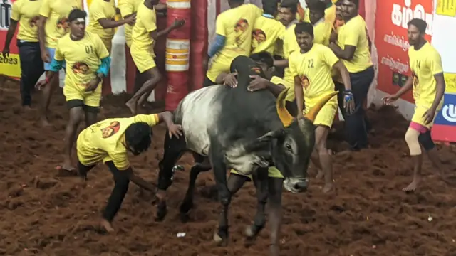 அலங்காநல்லூர் ஜல்லிக்கட்டு