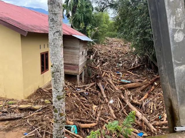 Gambaran kayu gelondongan yang terempas banjir bandang di Kecamatan Tukka, Tanapuli Tengah, Sumatra Utara.
