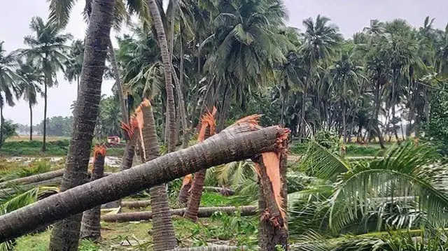 తుపాను ప్రభావం 