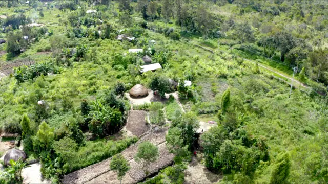 Lokasi pengungsian di Kampung Sekom, Distrik Muliama, Wamena.