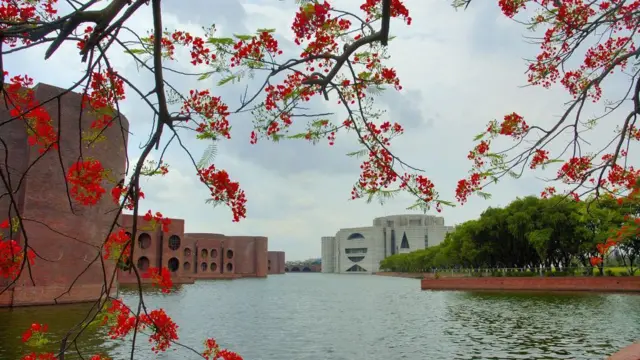 ঢাকার শেরে-ই-বাংলা নগরে সংসদ ভবন অবস্থিত। সংসদ ভবন এলাকায় রাস্তার পাশে সারি সারি প্রচুর কৃষঞ্চূড়া গাছ রয়েছে। গরমে এইসব গাছে লাল রঙা ফুল আসে। 