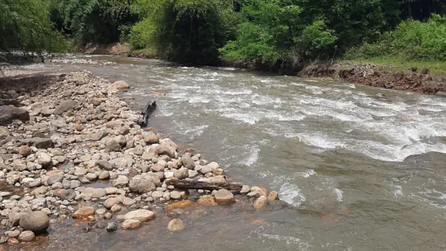 காளிகேசம்