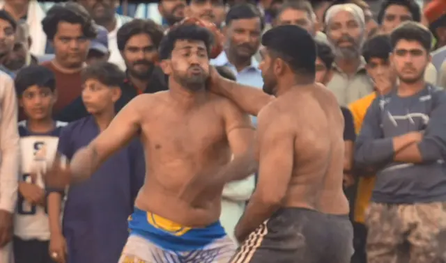 Gasar zabga mari