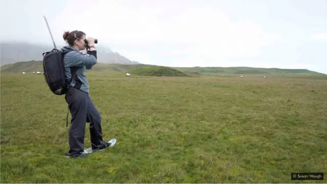 शोध के लिए सैमेन्था पैट्रिक ने सैमेन्था पैट्रिक पक्षियों को डेटा ट्रैकर लगाए थे