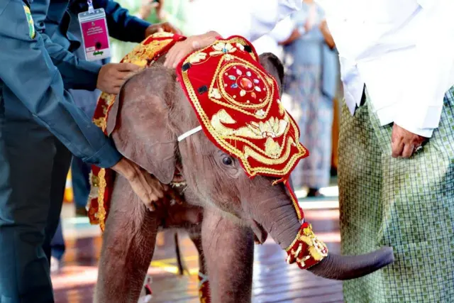 ဆင်ဖြူတော် ရဋ္ဌနန္ဒက