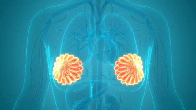 ਛਾਤੀ ਦਾ ਦੁੱਧ ਚੁੰਘਾਉਣਾ