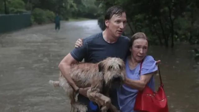 பேரழிவை உண்டாக்கிய ஹார்வி புயல்