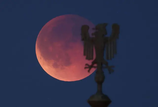 जर्मनी की राजधानी बर्लिन में चंद्रग्रहण के दौरान 'ओबरबाउमब्रुके पुल' पर बने धातु के बाज़ की मूर्ति के पीछे लाल चमकता चांद दिखाई दिया.