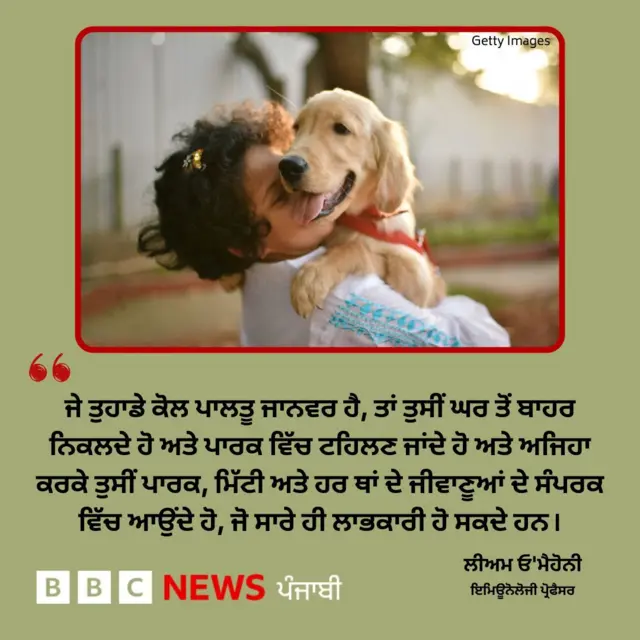 ਪਾਲਤੂ ਜਾਨਵਰ