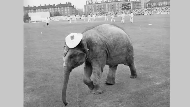 ਟੈਸਟ ਸੀਰੀਜ਼