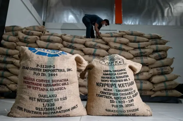 Seorang pekerja sedang menumpuk karung-karung biji kopi arabika organik Gayo untuk diekspor ke AS dan Eropa di gudang kopi di Takengon, Provinsi Aceh.