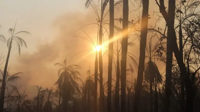 Fumaça escura encobre o sol na Serra do Amolar