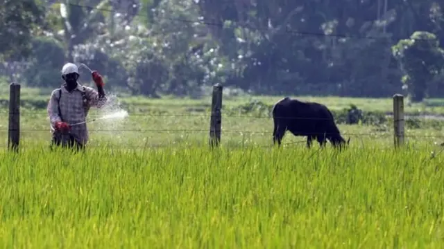 कीटकनाशकं, भारत, नेपाळ, श्रीलंका, बांगलादेश