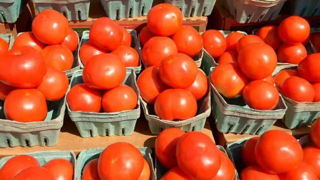 Cestas com tomates