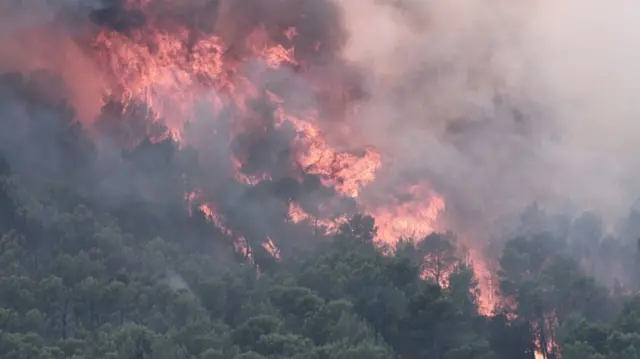 Firefighters operate next to one building as smoke and flames from one wildfire emanate from burning trees
