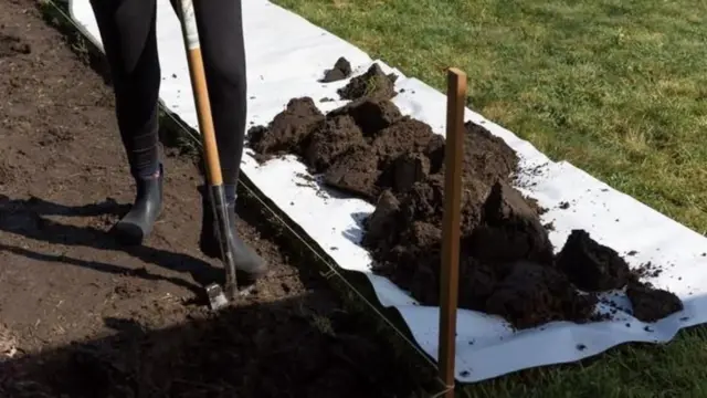 మృతదేహం, కుళ్లిపోవడం, మతం, సైన్స్