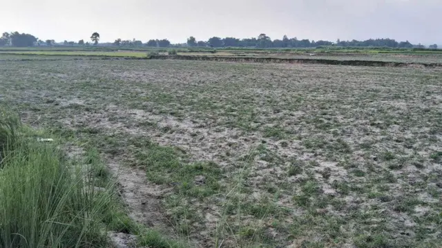 सुक्खा खेत