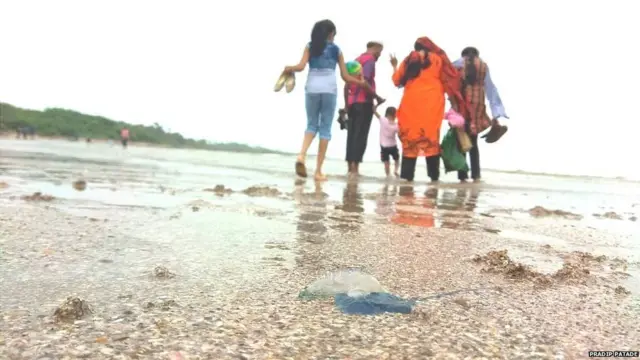મુંબઈના દરિયા કાંઠે આવેલી જેલી ફિશ