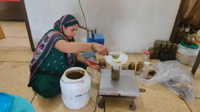 سودیش کو اوشا کے ساتھ کام کرنے پر یومیہ 250 روپے مل جاتے ہیں