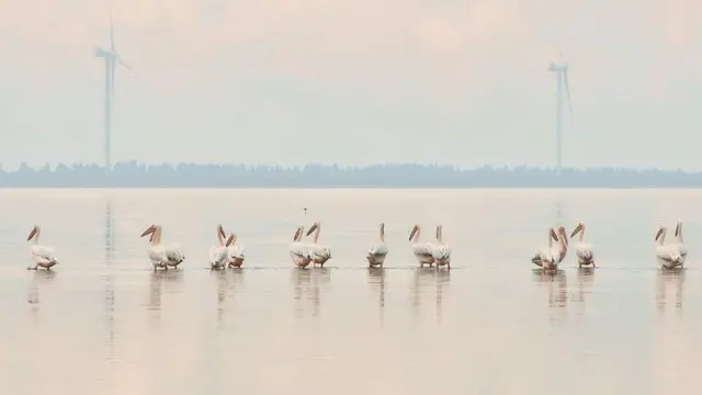 острів Джарилгач