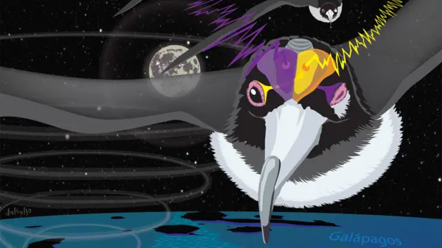 Ilustración de fragatas volando durante la noche