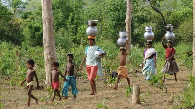 आदिवासी और जंगल