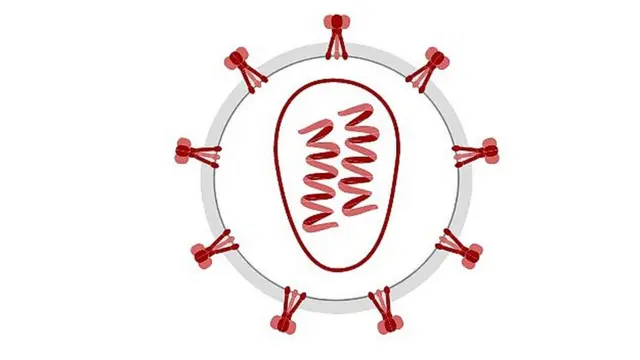 హెచ్ఐవీ / ఎయిడ్స్