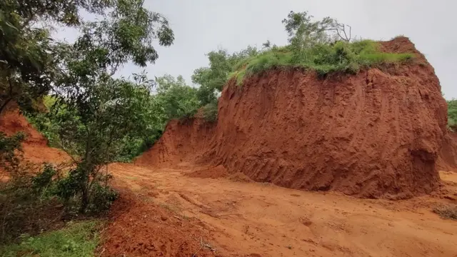 ఎర్రమట్టి దిబ్బల్ని కొందరు తవ్వి తరలించుకు పోతున్నారు.