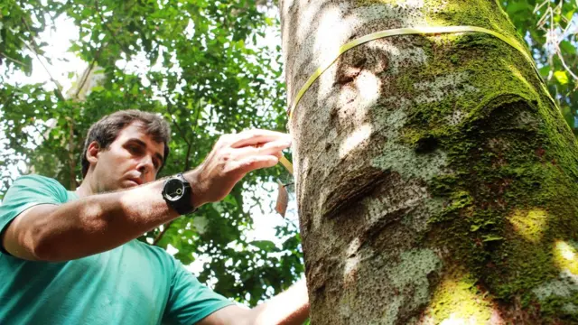 Pesquisador Gustavo Schwartz