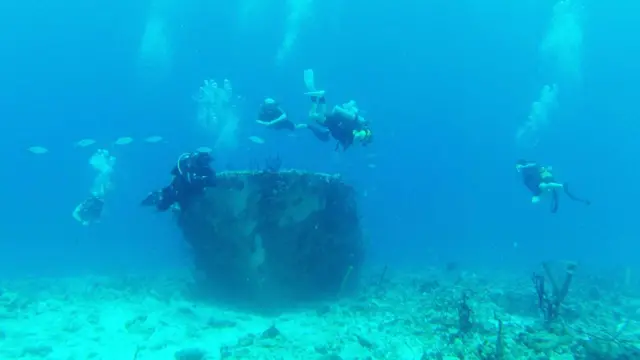 मूंगे की चट्टान