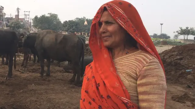 विमला यादव