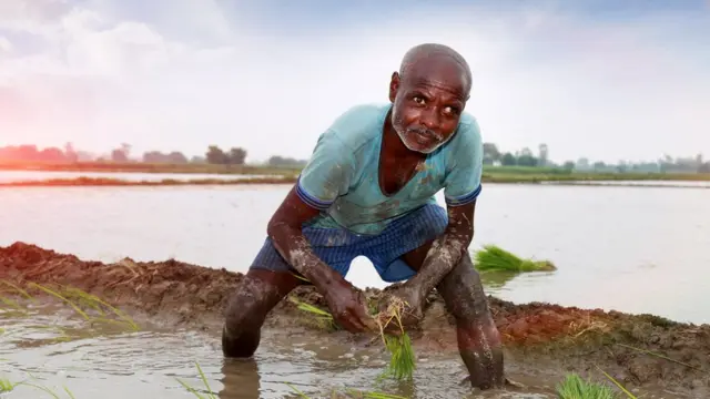 விவசாயிகள்