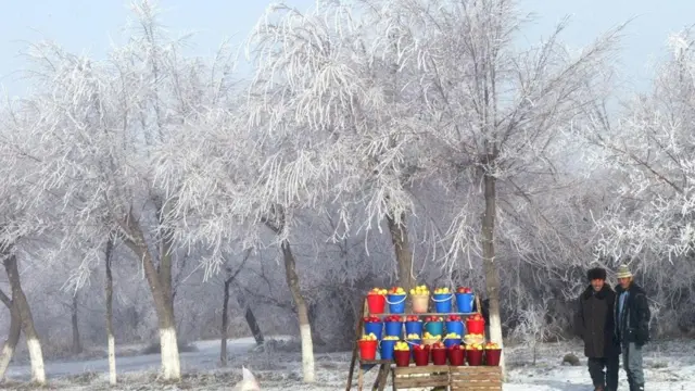 رحلة إلى مهد التفاح في العالم