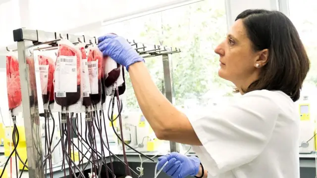 Мысли о неизбежной смерти могут родить и альтруистские намерения - например, сдавать кровь