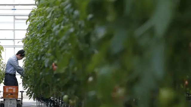 Деякі фахівці вважають, що обробка землі для вирощування продуктів - застарілий концепт