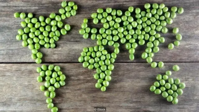 Wani nau'in kayan lambu