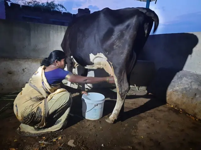 హరిశంకర్ తల్లి లక్ష్మీదేవమ్మ