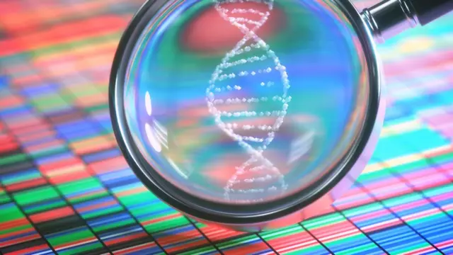 молекула ДНК