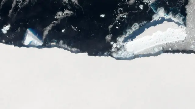 அன்டார்டிகா