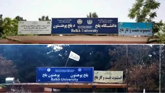 دانشگاه بلخ