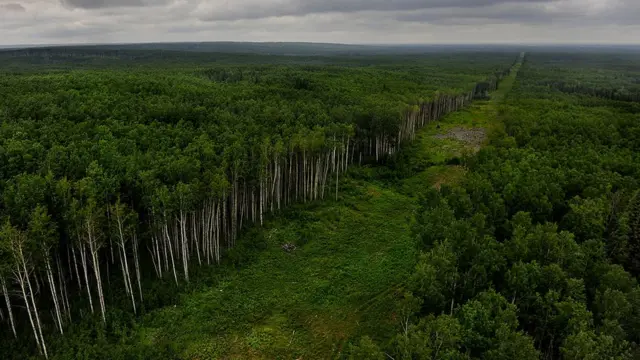 Fort McMurray, Alberta