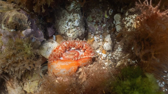 Подводная съемка