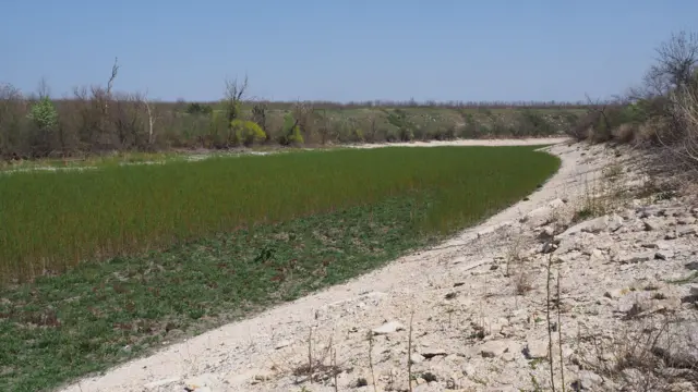 Каховське водосховище 