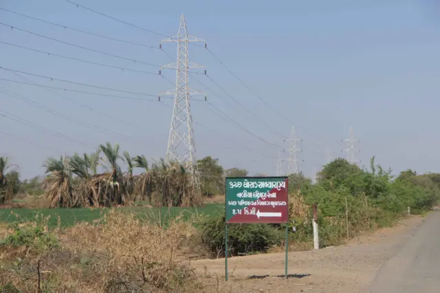 કચ્છ, ઘોરા, બીબીસી ન્યૂઝ ગુજરાતી