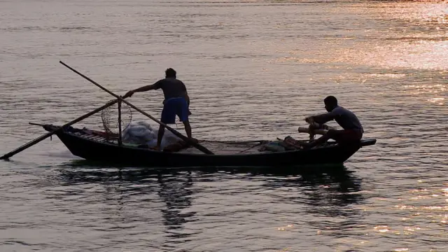 ফারাক্কার ফিডার ক্যানালে মাছ ধরছেন স্থানীয় জেলেরা