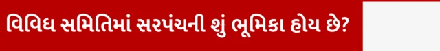 ગુજરાત ગ્રામસભા ચૂંટણી, સરપંચ પાસે કેવા અધિકાર હોય, સરપંચે કેવા કામ કરવાના હોય, બીબીસી ગુજરાતી સાથે સમજો, ગ્રામપંચાયતમાં સરપંચની ભૂમિકા, સરપંચને કેવી રીતે હઠાવી શકાય, ઉપસરપંચ કેવી રીતે ચૂંટાય, બીબીસી ગુજરાતી સાથે સમજો 