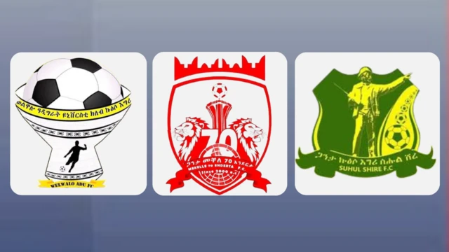 መፍለዪ ኣርማ ጋንታት ወልዋሎ፣ መቐለ 70 እንደርታን ስሑል ሽረን